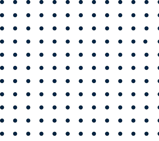 dots navy